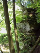 Photo compliments of the Kickapoo Valley Reserve, La Farge, Wis. Photo compliments of the Kickapoo Valley Reserve, La Farge, Wis.