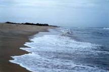 1840_beach_216 1840_beach_216