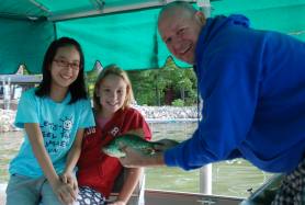 2807_fish_278 2807_fish_278