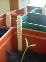 3714_pots 3714_pots